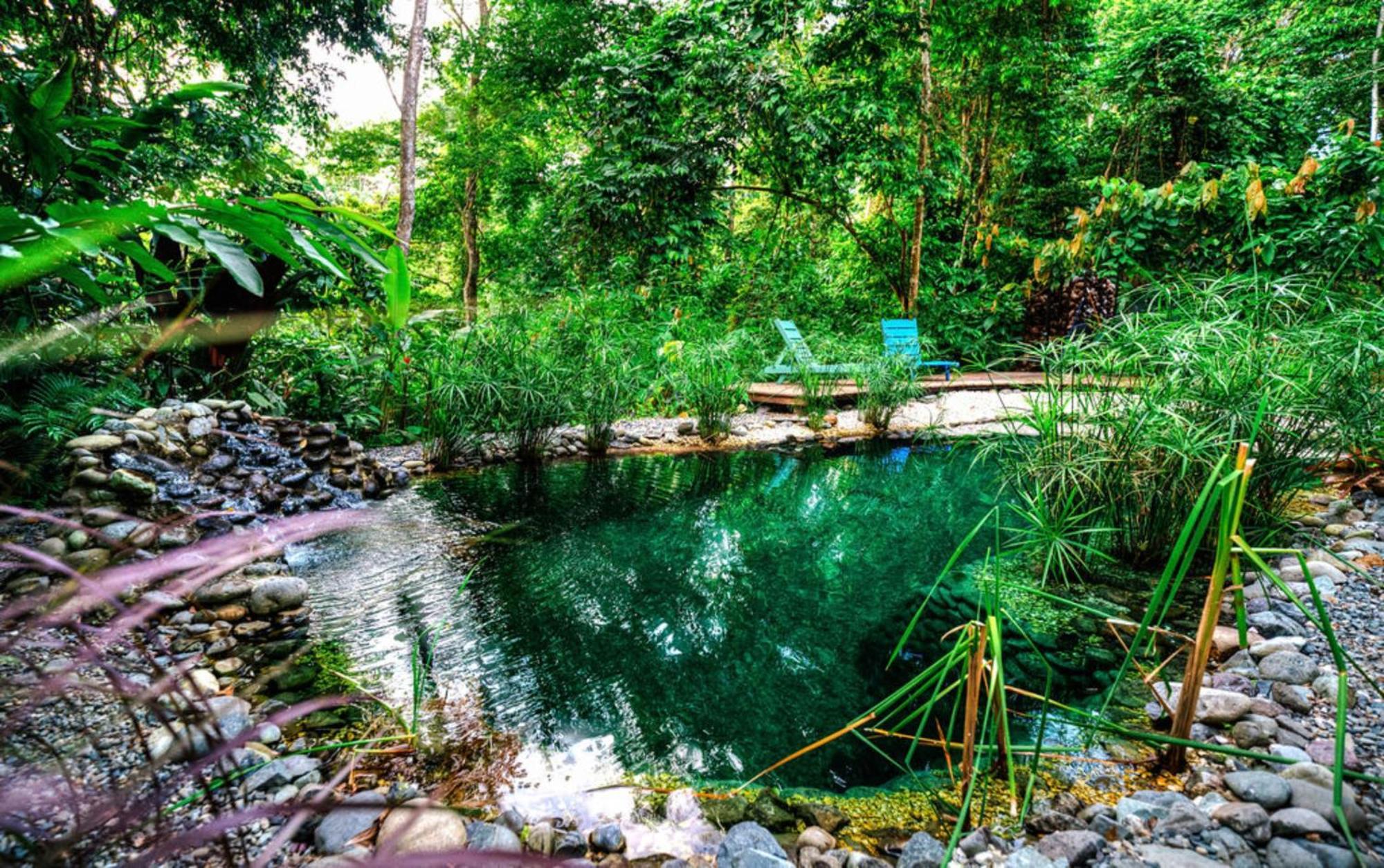 La Shamana - Ecological Concept In Jungle Villa Cahuita Exterior photo